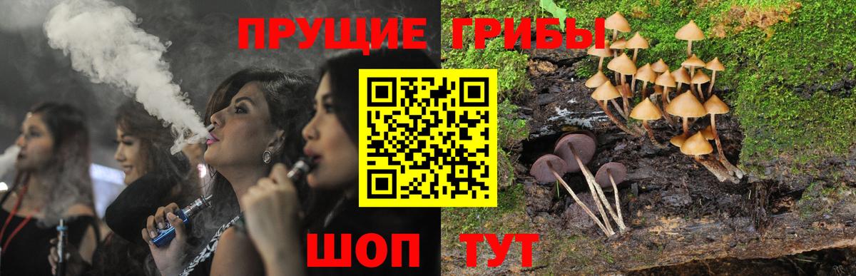 Псилоцибиновые грибы GOLDEN TEACHER  Галлюциногенные грибы Psilocybine cubensis  Вход с VPN  купить наркотик  Чапаевск 